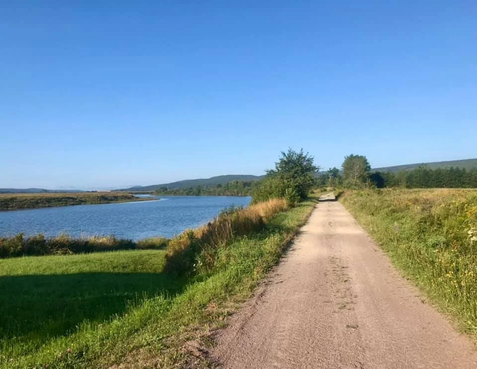 The Shepody Trail through the Fundy marshes