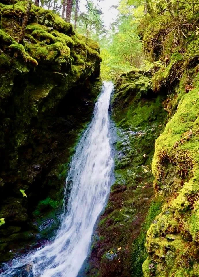 Waterfall in Fundy National Park