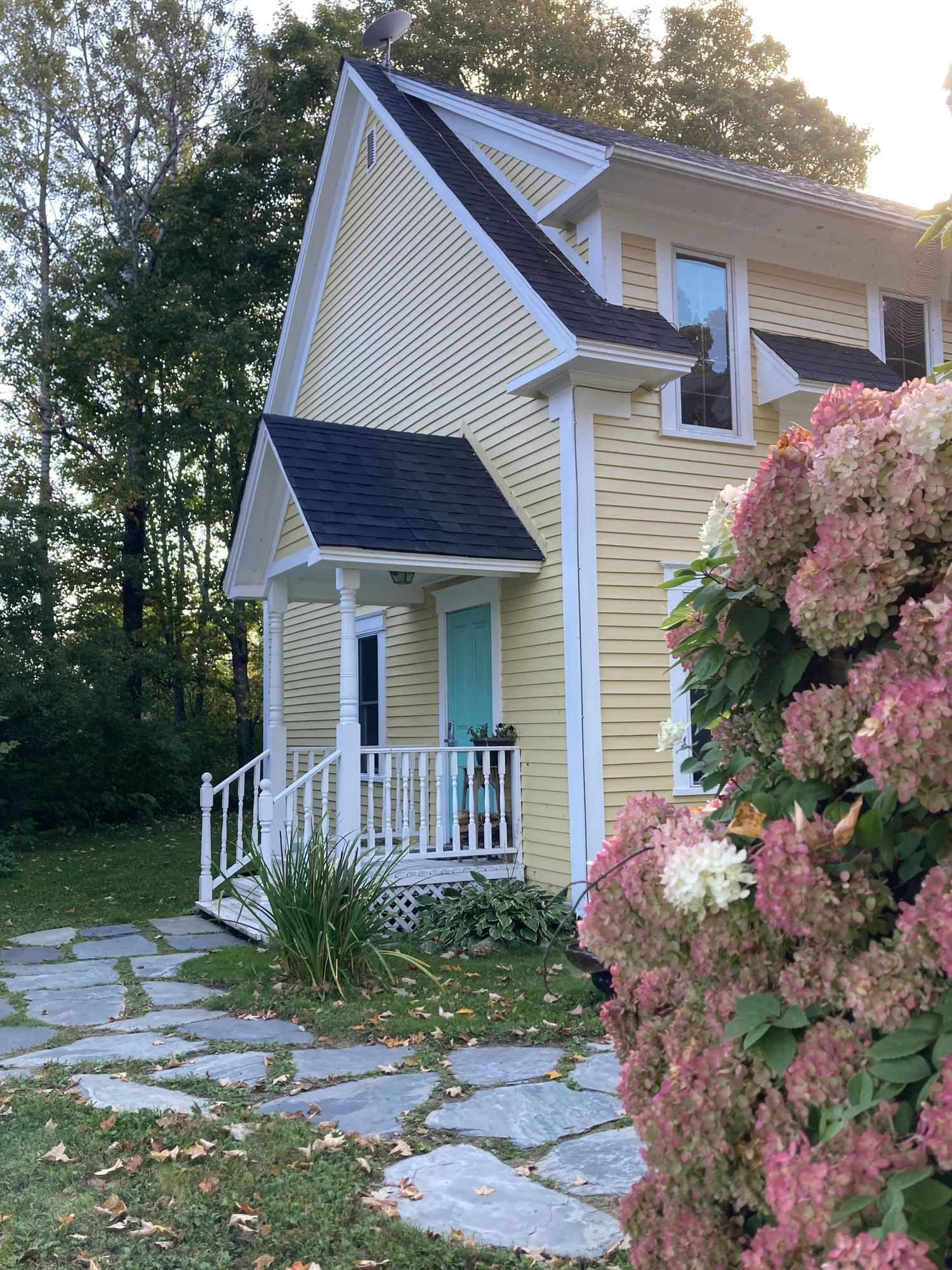 Front porch of Balsam Parlour framed by hydrangeas